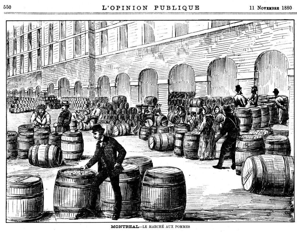 1880-11-11 Marché aux pommes-JPG