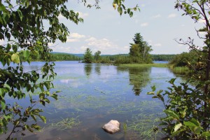 RA03_05_riviereoutaouais_deuxrivieres_IMG_1785M