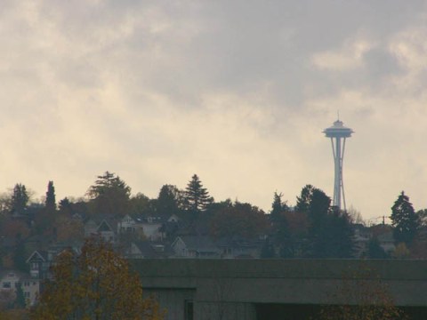 2301 sp needle.jpg