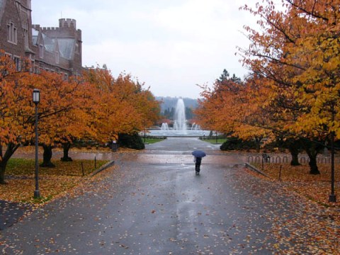 2304 uw-vista.jpg