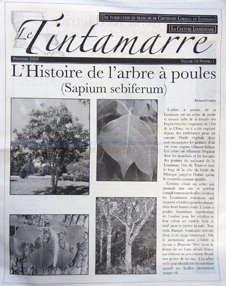 7602 tintamarre.jpg