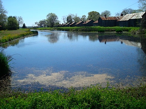 DSC02044.JPG
