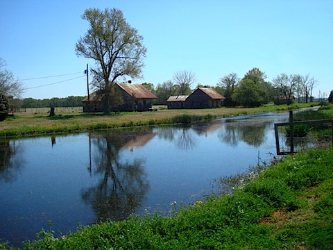 DSC02045.JPG