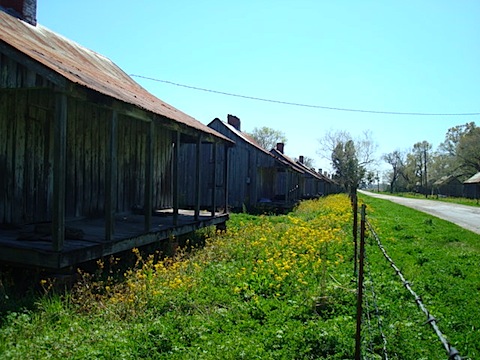 DSC02047.JPG