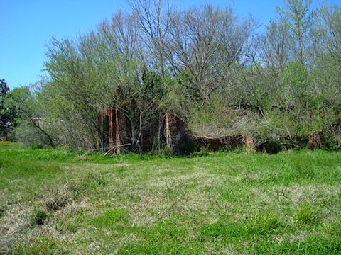 DSC02048.JPG