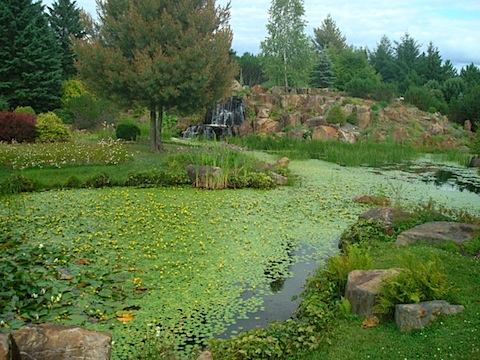 DSC04479