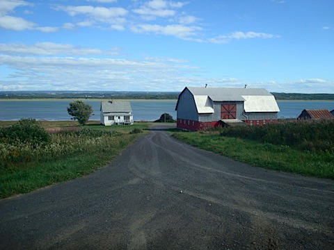 DSC04565