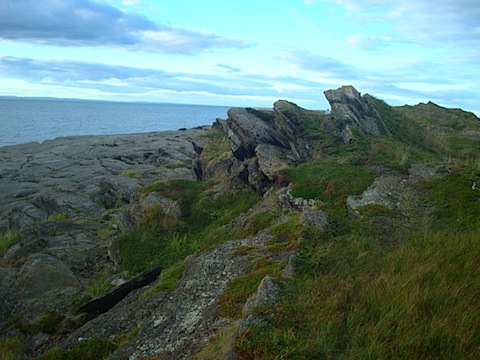 DSC04578