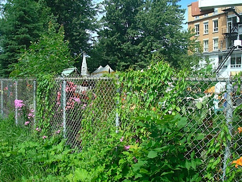 DSC05000.JPG
