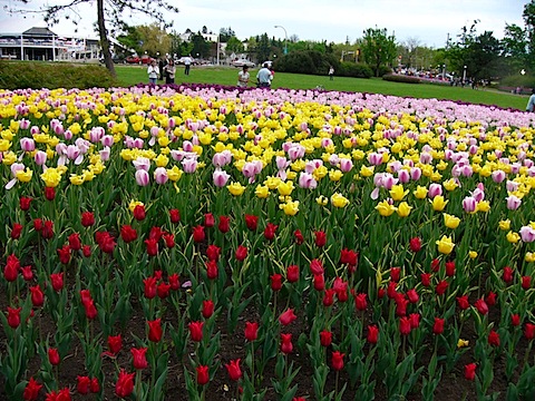 P1100131.JPG