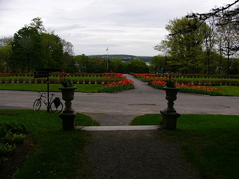 P1100154.JPG