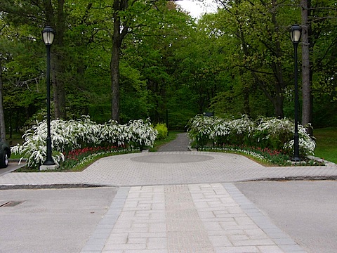 P1100158.JPG