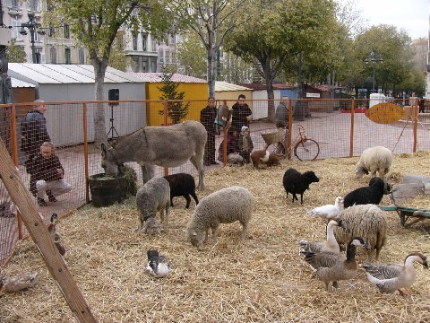 ferme1.JPG
