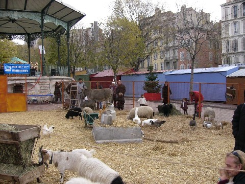 ferme2.JPG
