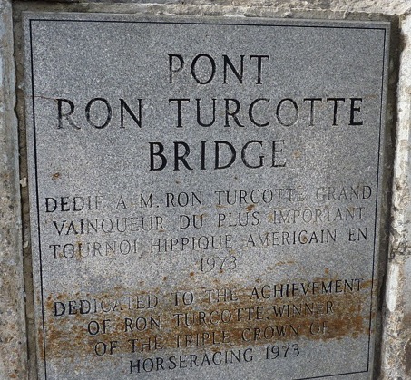 plaque