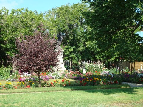 jardin.JPG