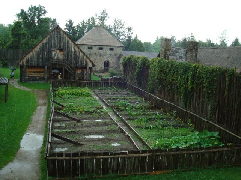 potager.JPG
