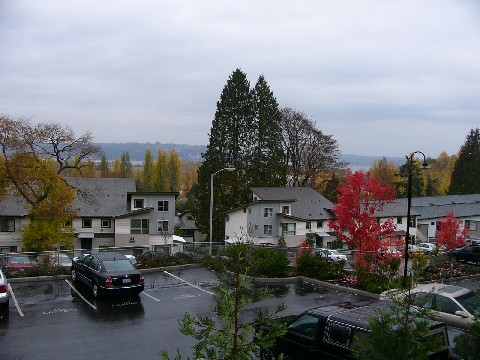 rad-lac2.JPG