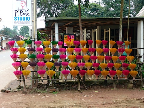 P1000701.JPG