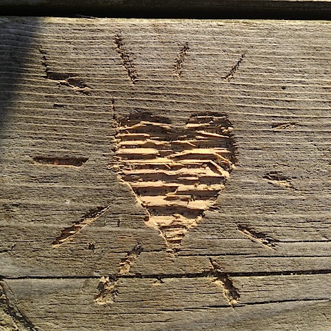 photo.JPG