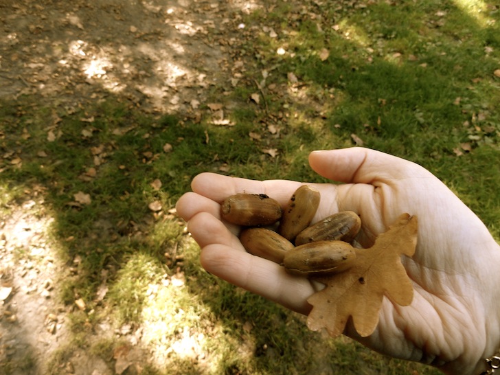 DSC01152.JPG