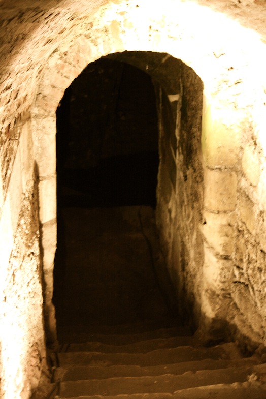 IMG_8804.jpg