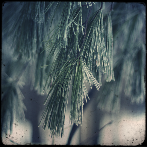 aiguilles1_effected.png