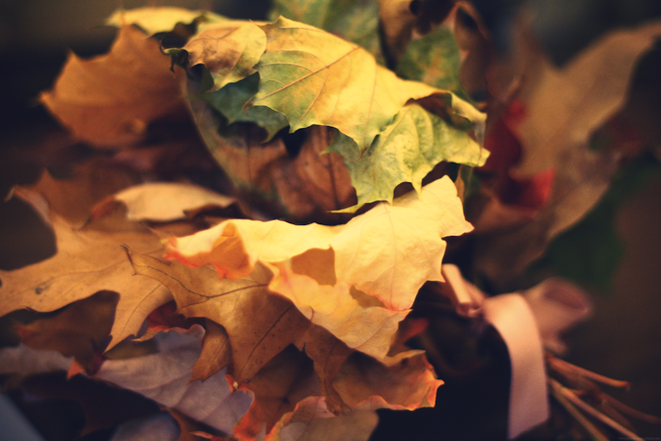 bouquetfeuilles_effected.png