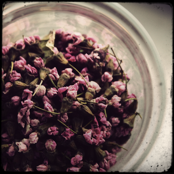 boutonsroses2_effected.png