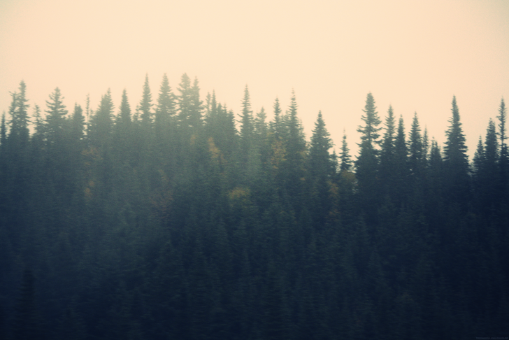 brume1_effected.png