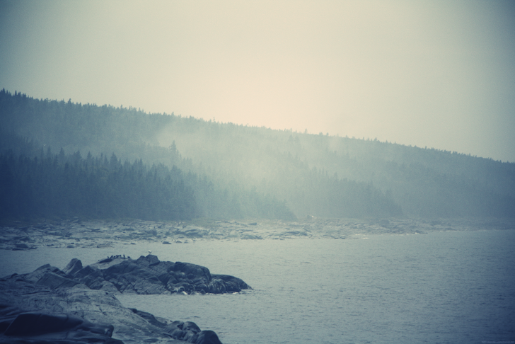 brume2_effected.png