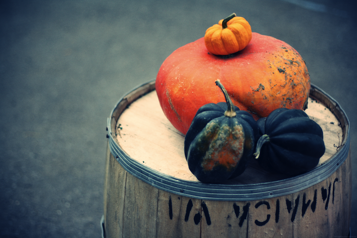 courges_effected.png