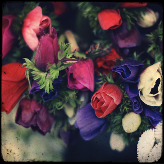 fleurs_effected.png
