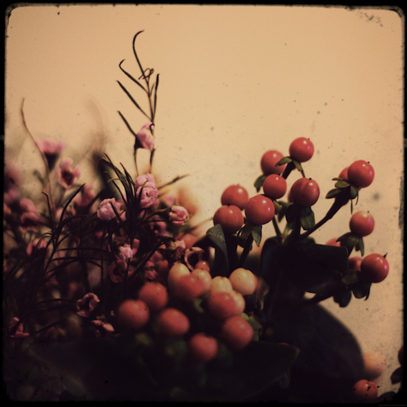 fleursmarche2_effected.png