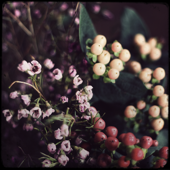 fleursmarche_effected.png