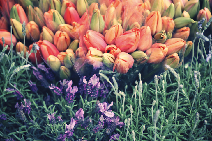 fleursmouffetard_effected.png