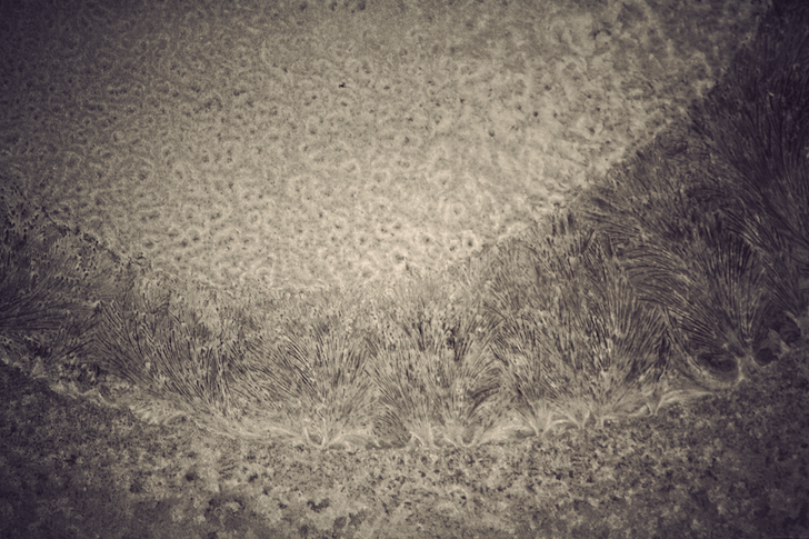 givre_effected.png