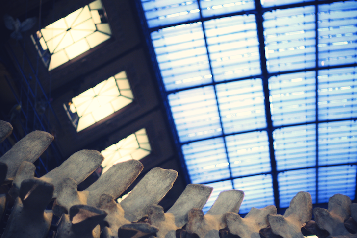 grandegalerie_effected.png