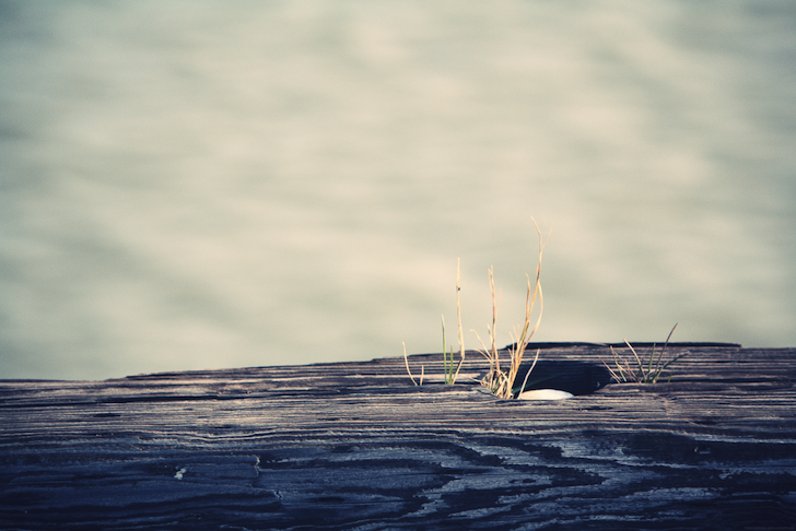 herbes2quai_effected.png
