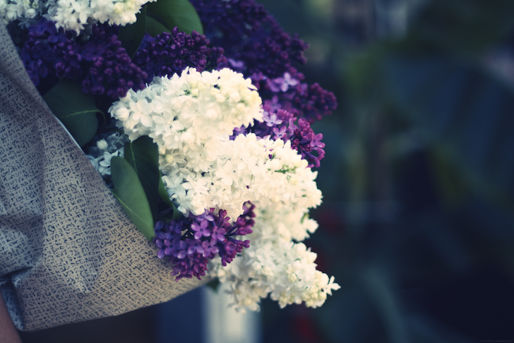 lilas_effected.png