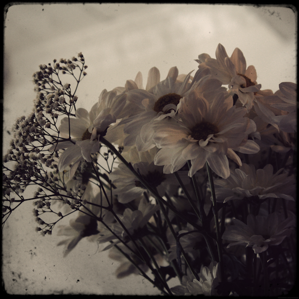 margueritesprague_effected.png