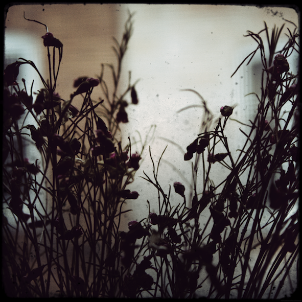 ombrefleurs_effected.png