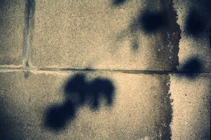 ombresfeuilles_effected.png