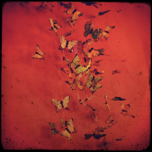 papillons_effected.png