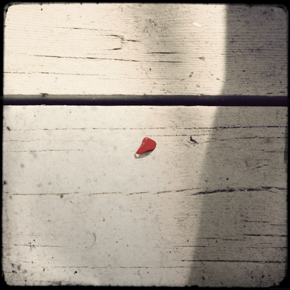 petalecafe_effected.png