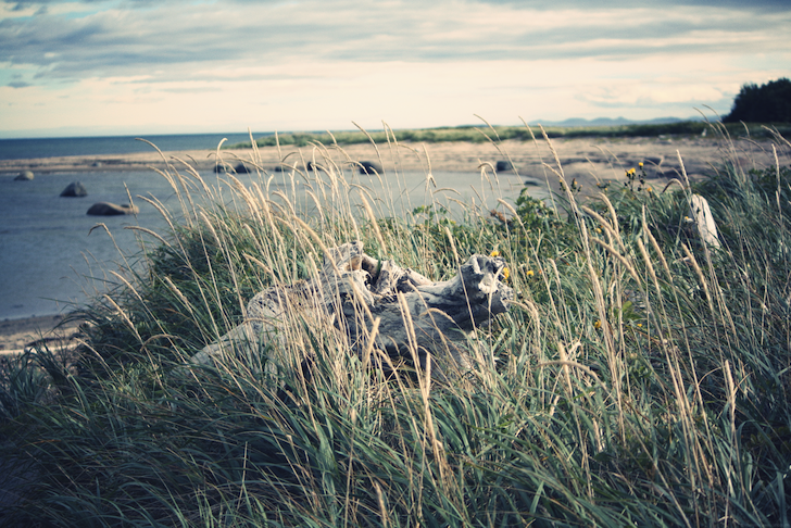 plage_effected.png