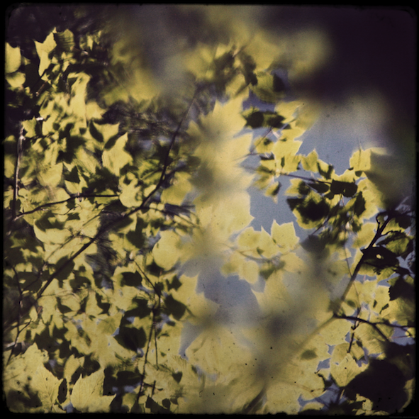 reflet2_effected.png