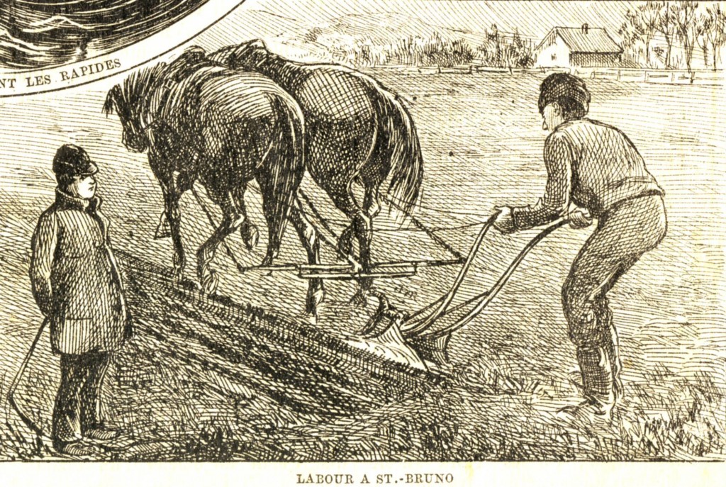 Janvier 1878-14