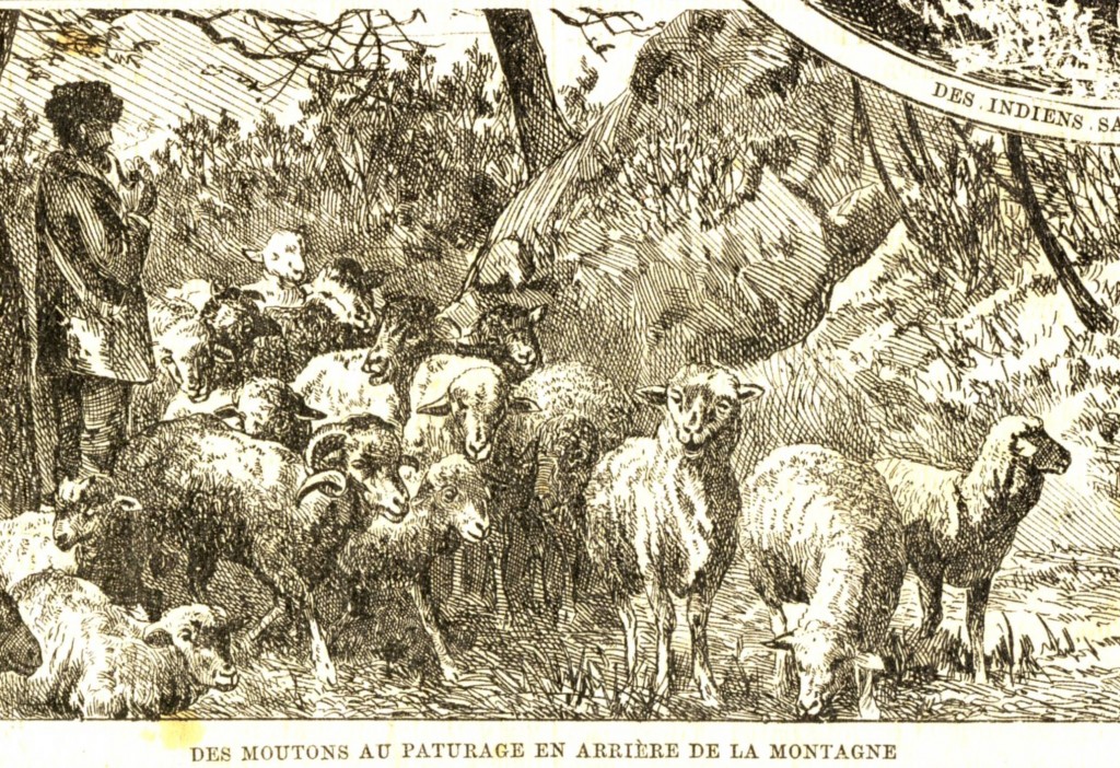 Janvier 1878-15