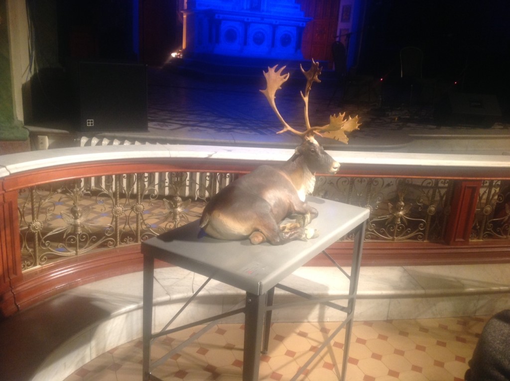 photo-2